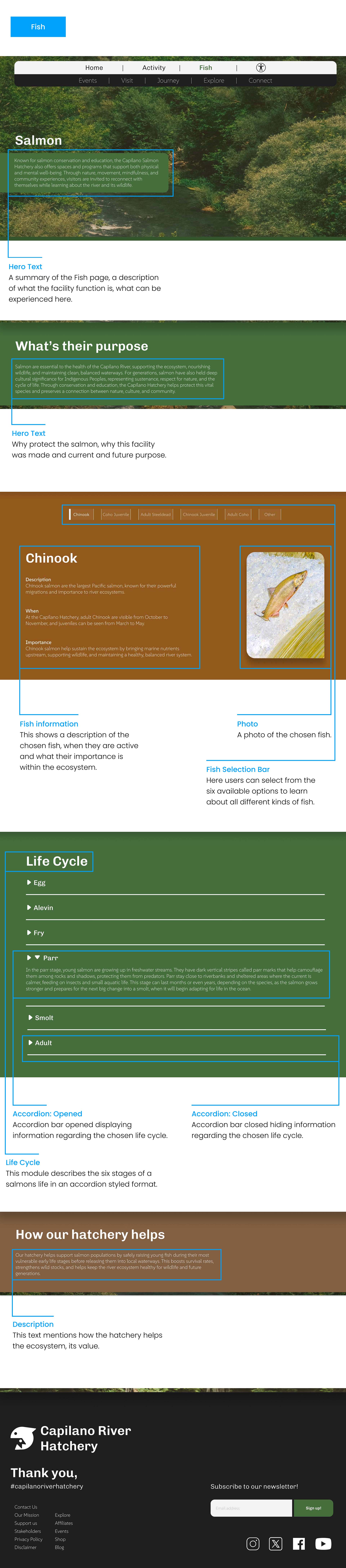 A disection of the fish page, elaborating on elements providing purposes for each design descision